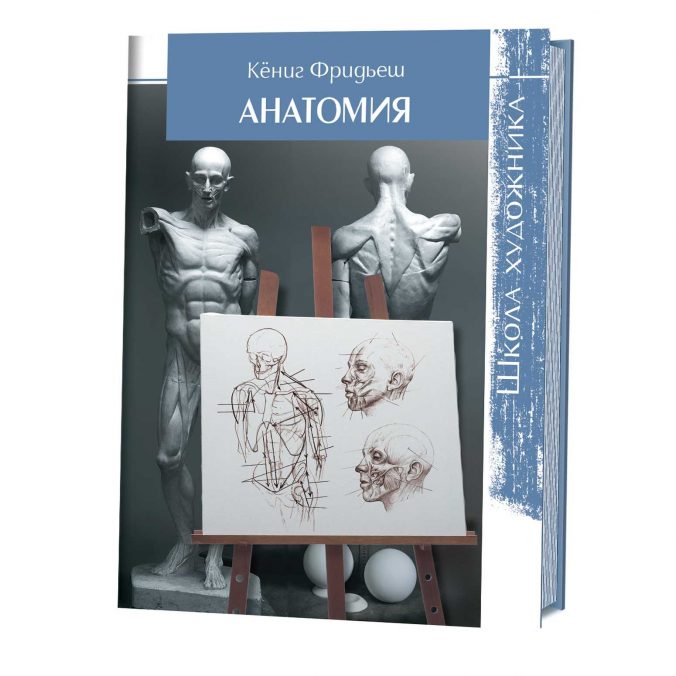 Анатомия. Школа художника