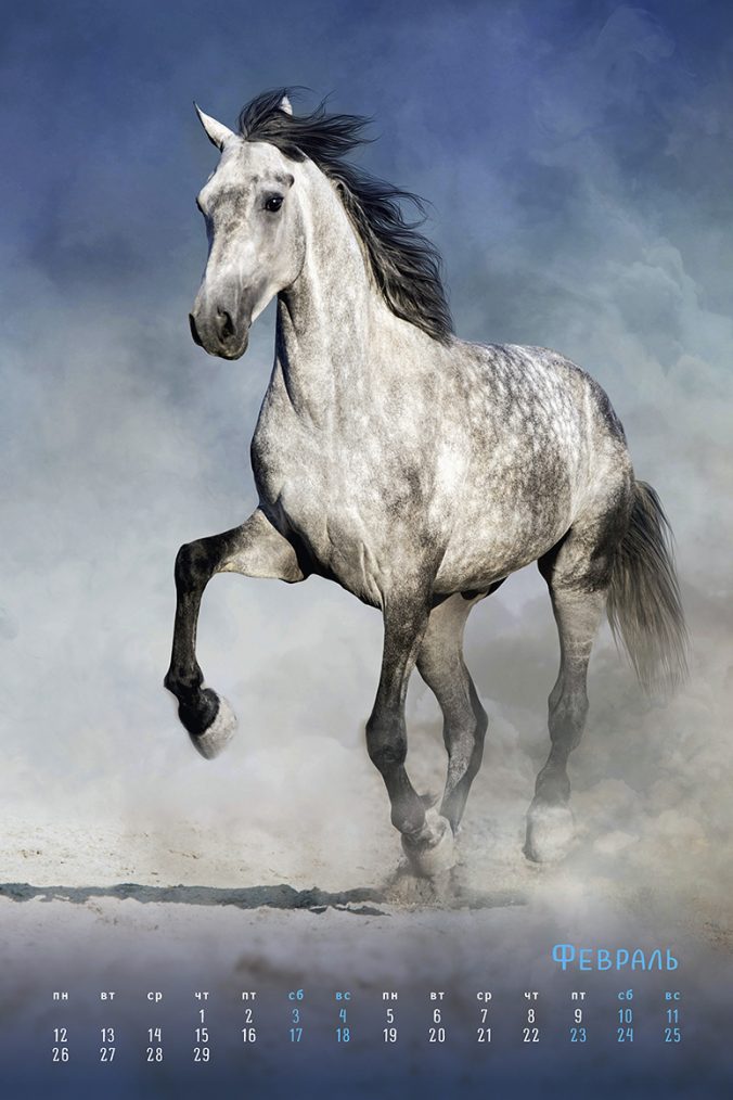 horses dreaming (Сны о лошадях) 2023