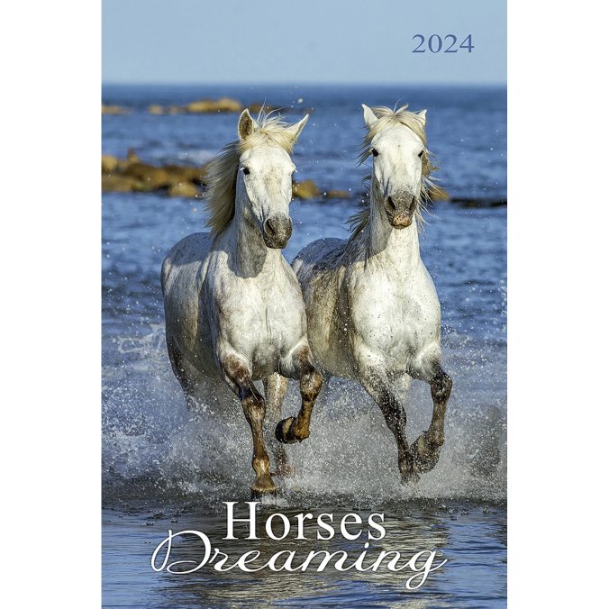 horses dreaming (Сны о лошадях) 2023
