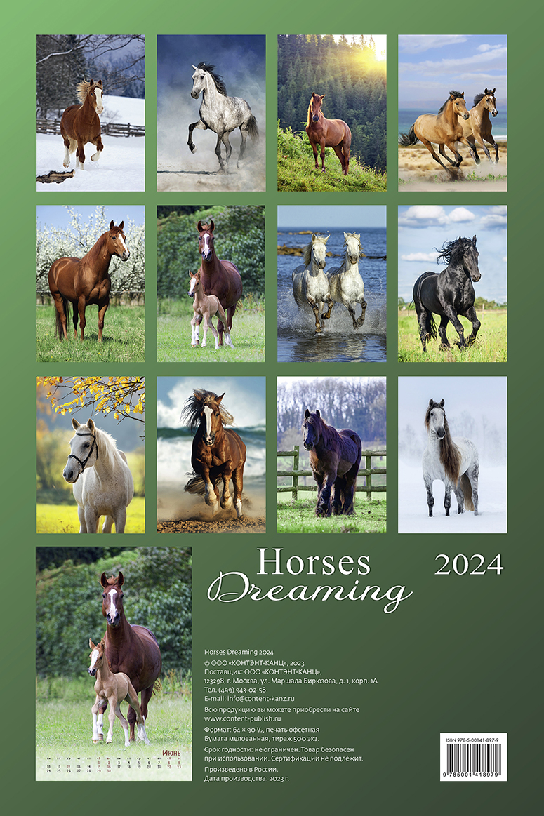 horses dreaming (Сны о лошадях) 2023