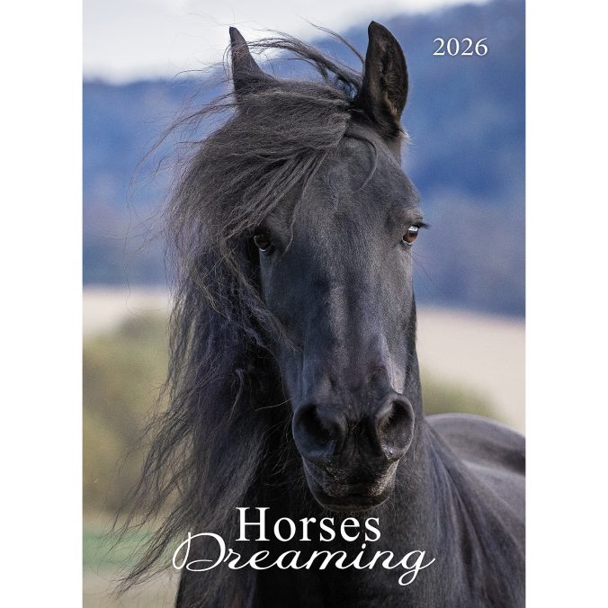 horses dreaming (Сны о лошадях) 2026