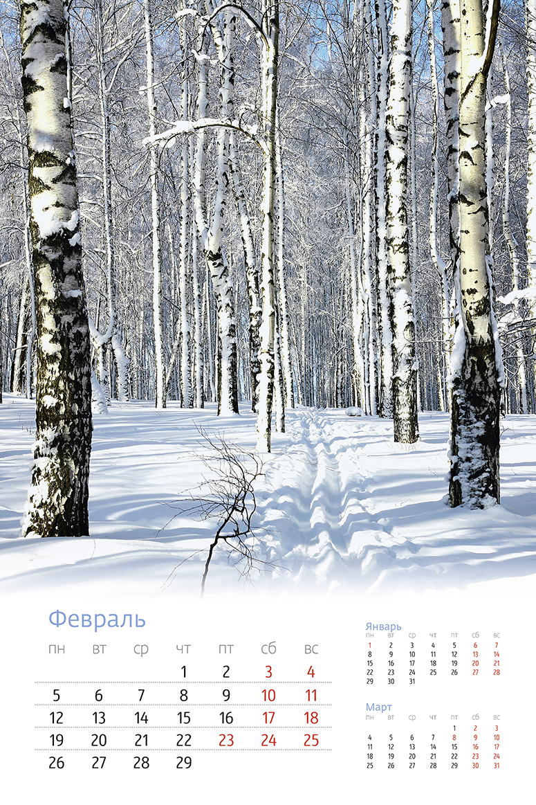 Родные просторы 2023