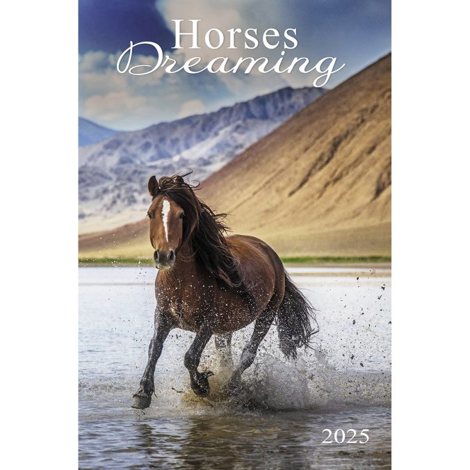 horses dreaming (Сны о лошадях) 2025