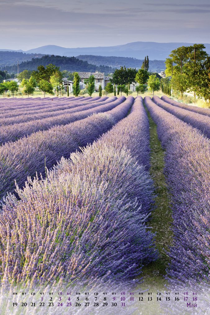 provence (Прованс) 2025