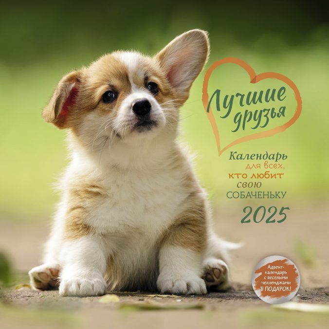 Календарь органайзер who let the dogs out? 2024