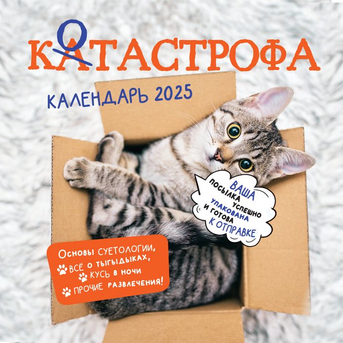 Календарь органайзер Котастрофа 2025