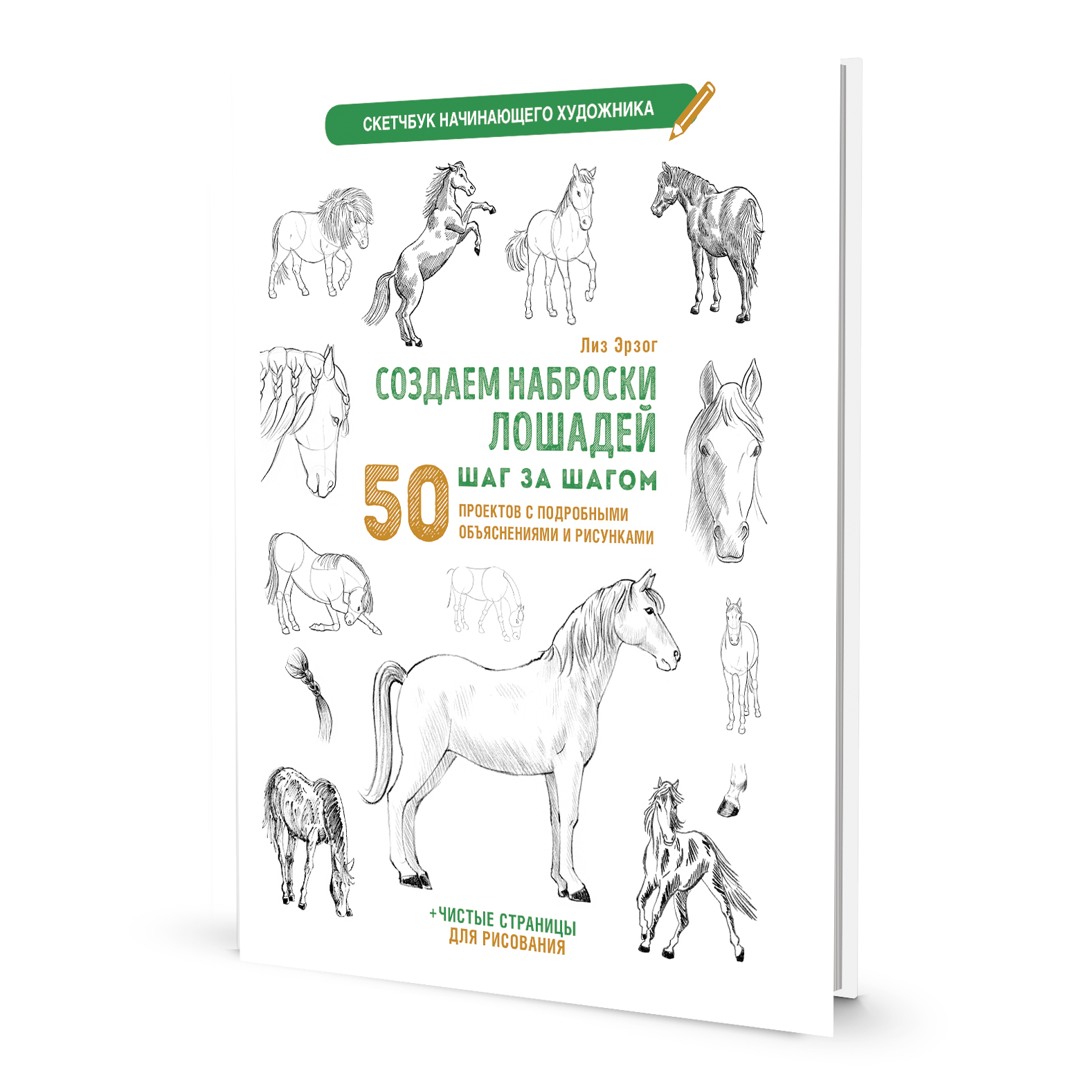 Создаем наброски лошадей шаг за шагом. Скетчбук начинающего художника