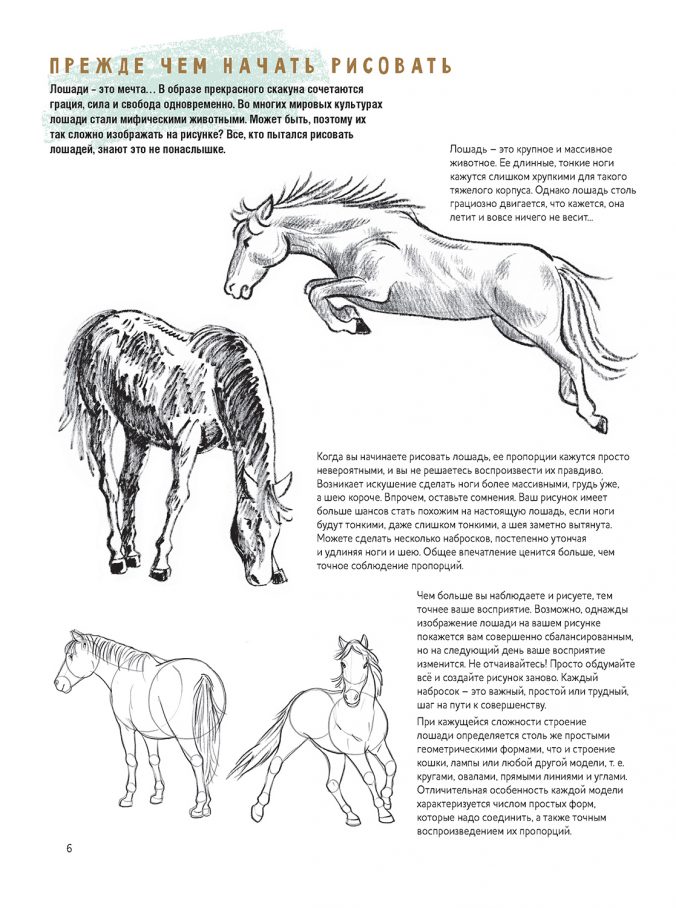 Создаем наброски лошадей шаг за шагом. Скетчбук начинающего художника
