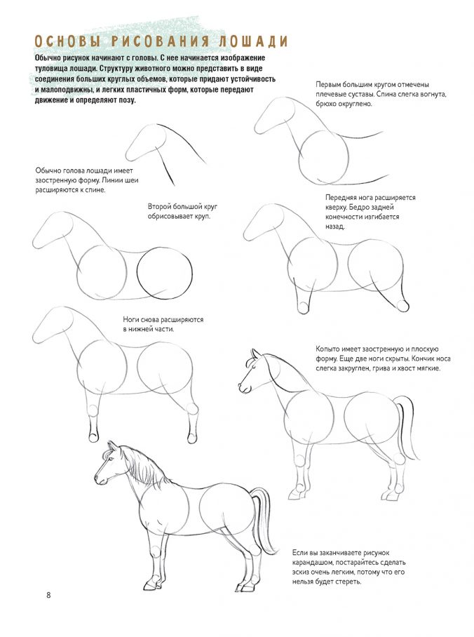 Создаем наброски лошадей шаг за шагом. Скетчбук начинающего художника