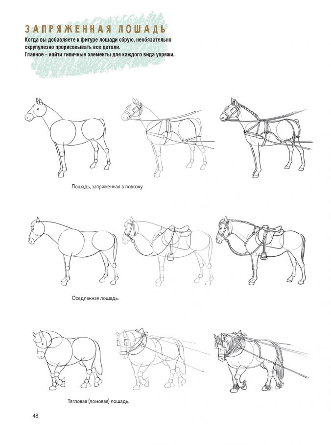 Создаем наброски лошадей шаг за шагом. Скетчбук начинающего художника
