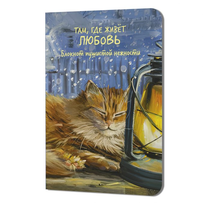 Блокнот Там, где живет любовь (кот в окне)