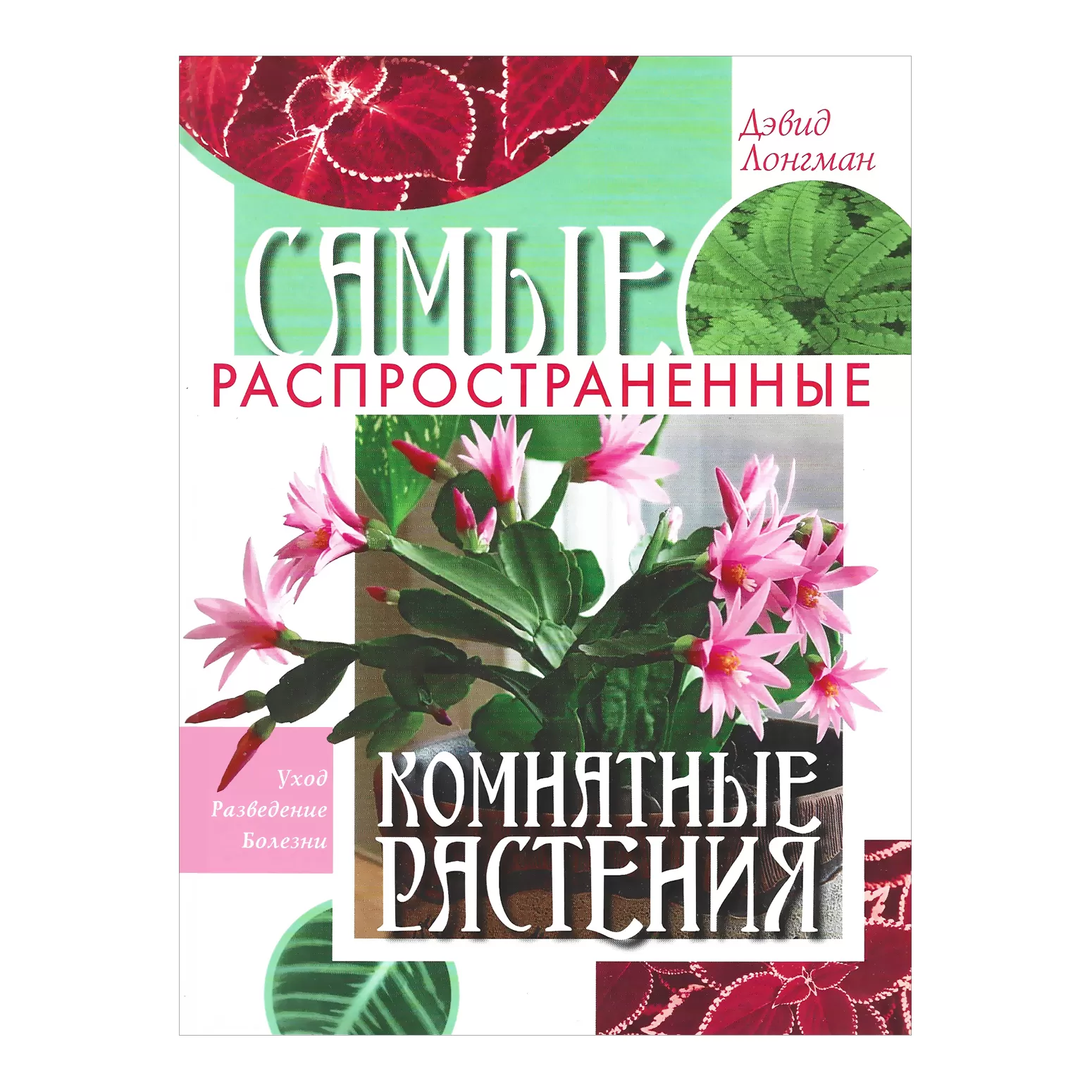 Самые распространенные комнатные растения