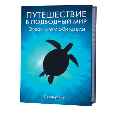 Путешествие в подводный мир. Океан и его обитатели