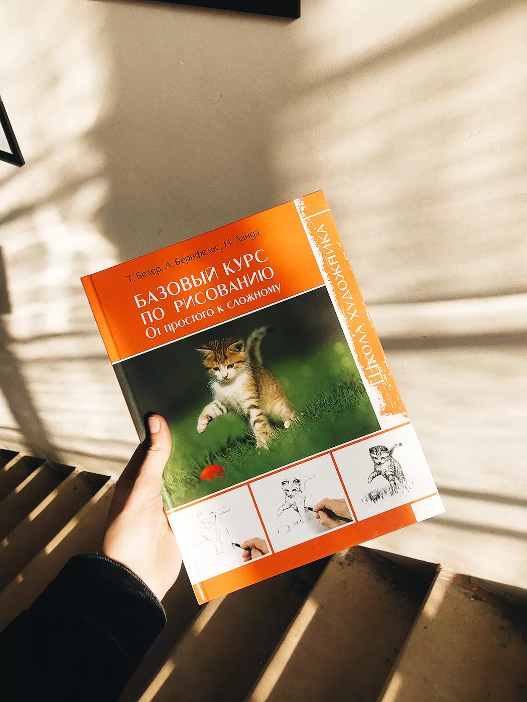 Базовый курс по рисованию. От простого к сложному. Школа художника (легкий брак) — изображение 8