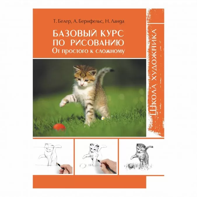 Базовый курс по рисованию. От простого к сложному. Школа художника (легкий брак)