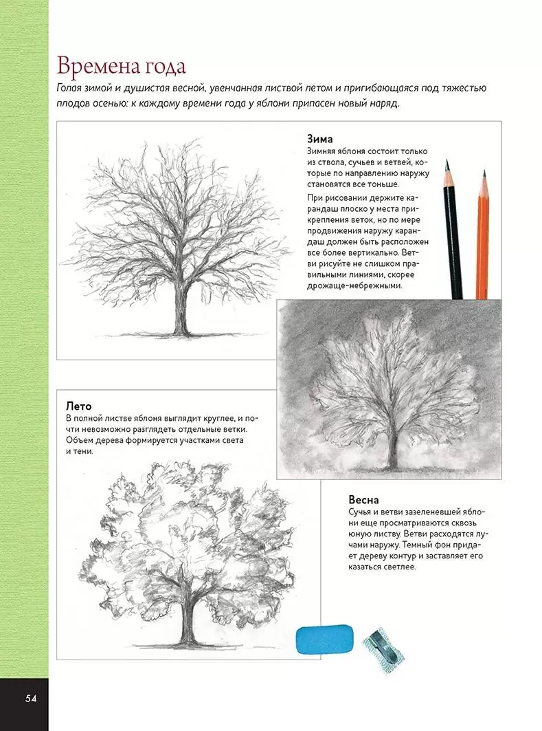 Базовый курс по рисованию. От простого к сложному. Школа художника (легкий брак) — изображение 4