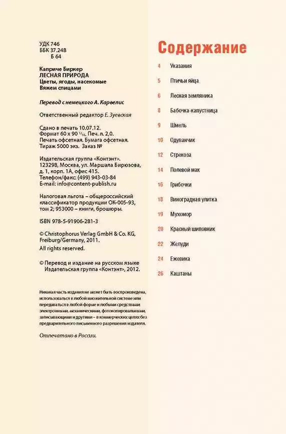Лесная природа. Вяжем спицами. Цветы, ягоды, насекомые — изображение 2