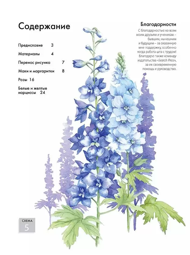 Нарисуй цветы акварелью по схемам. Ты - художник! — изображение 2