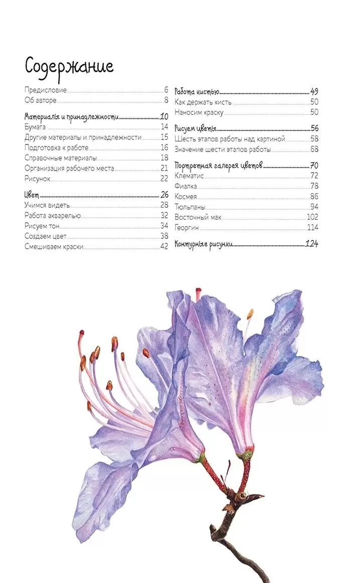Основы ботанической живописи акварелью. Практические рекомендации и пошаговые описания — изображение 2