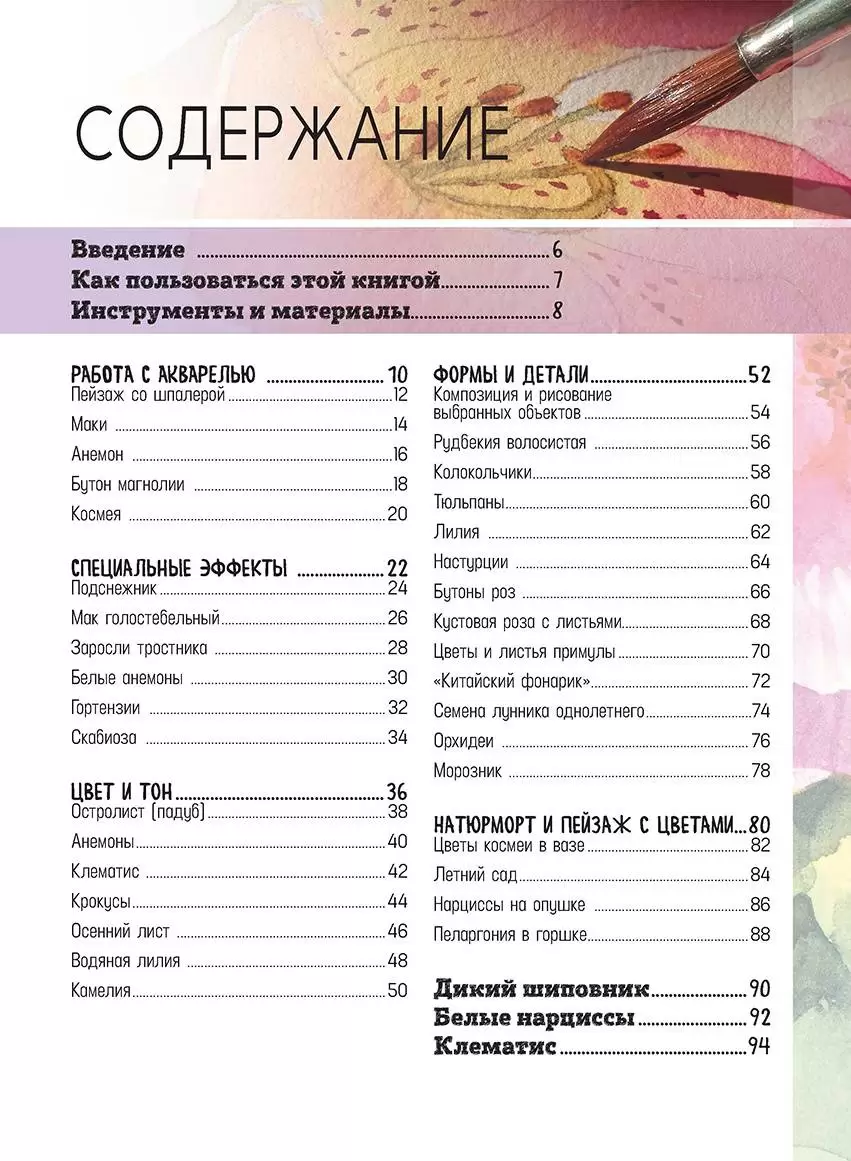 Цветы в акварели. Рисуем за 30 минут — изображение 2