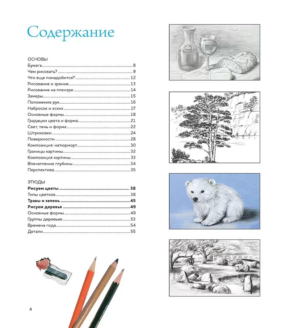 Базовый курс по рисованию. От простого к сложному. Школа художника (легкий брак) — изображение 2