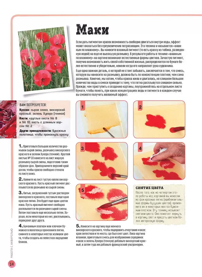 Цветы в акварели. Рисуем за 30 минут — изображение 3