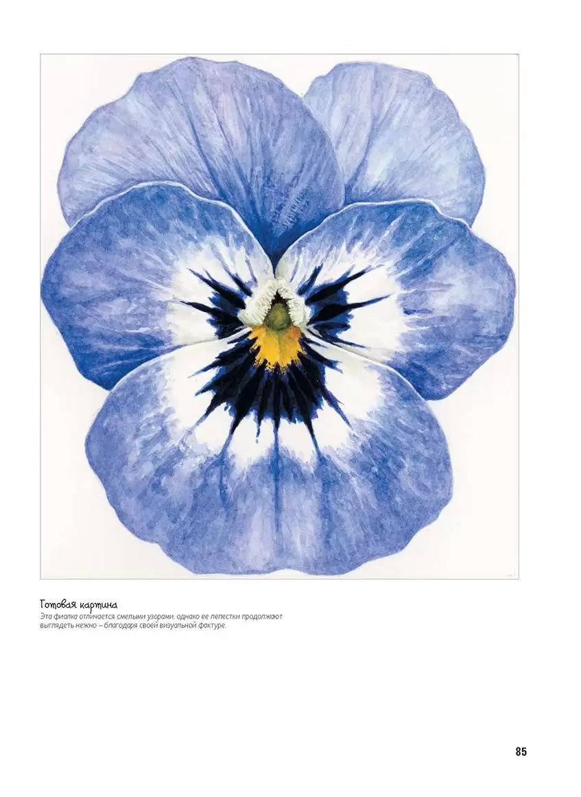Основы ботанической живописи акварелью. Практические рекомендации и пошаговые описания — изображение 6