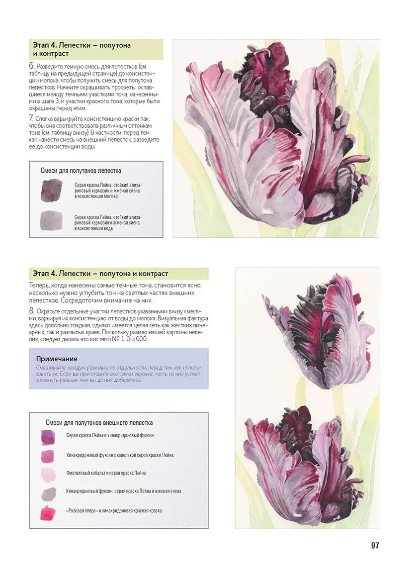 Основы ботанической живописи акварелью. Практические рекомендации и пошаговые описания — изображение 7
