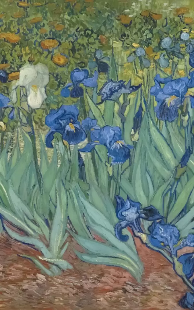 Записная книжка Impressionism Notebook (Пруд с водяными лилиями) — изображение 3