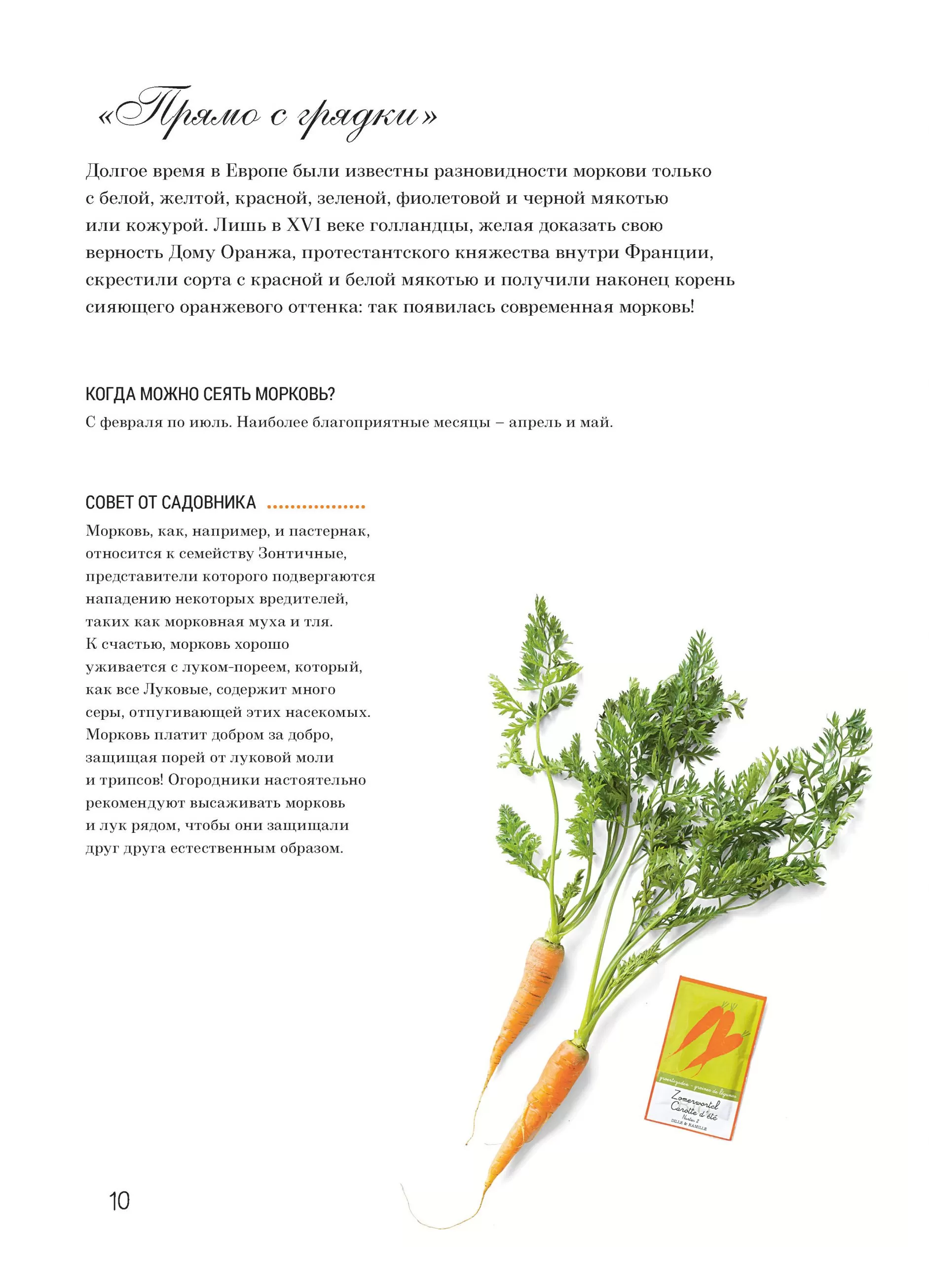 Французская вышивка крестом. Любимый огород Вероник Ажинер — изображение 3