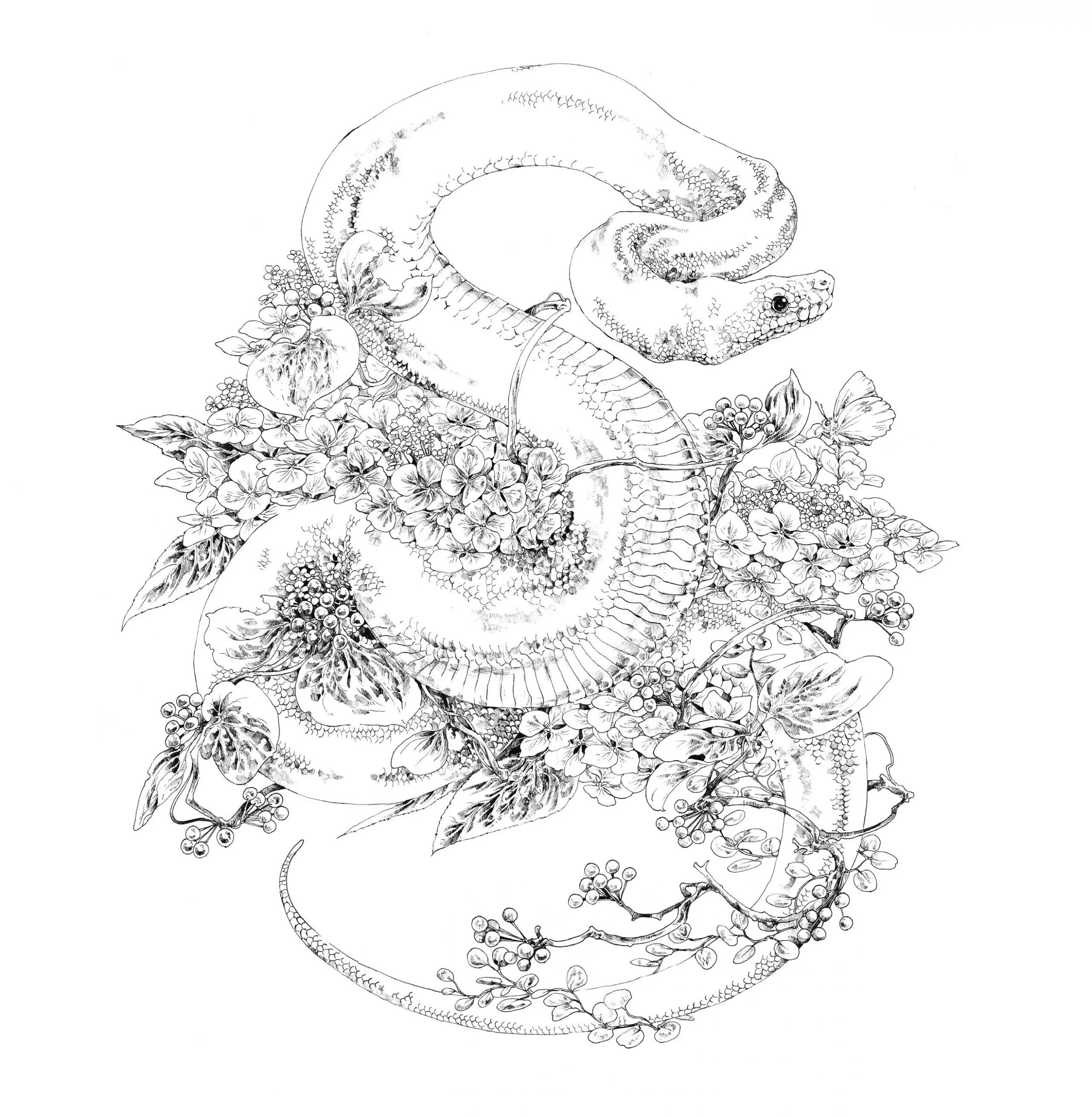 Скетчбук-раскраска. Сказочная реальность Кэна Мацуды (зеленая, новый формат!) — изображение 8