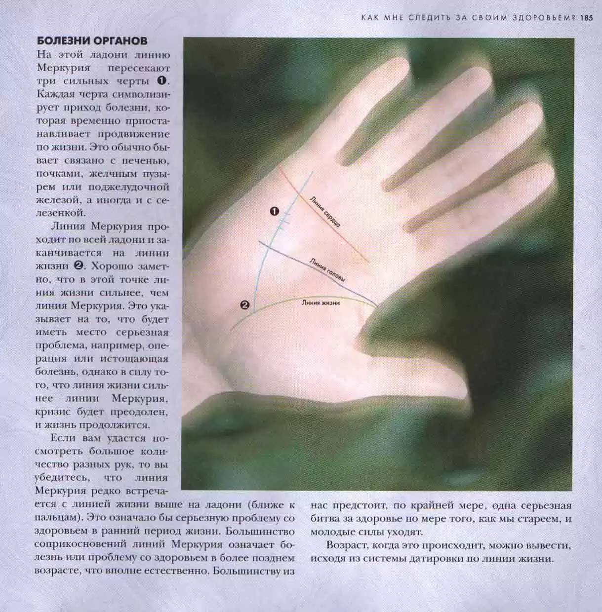 Хиромантия. Линии судьбы — изображение 7