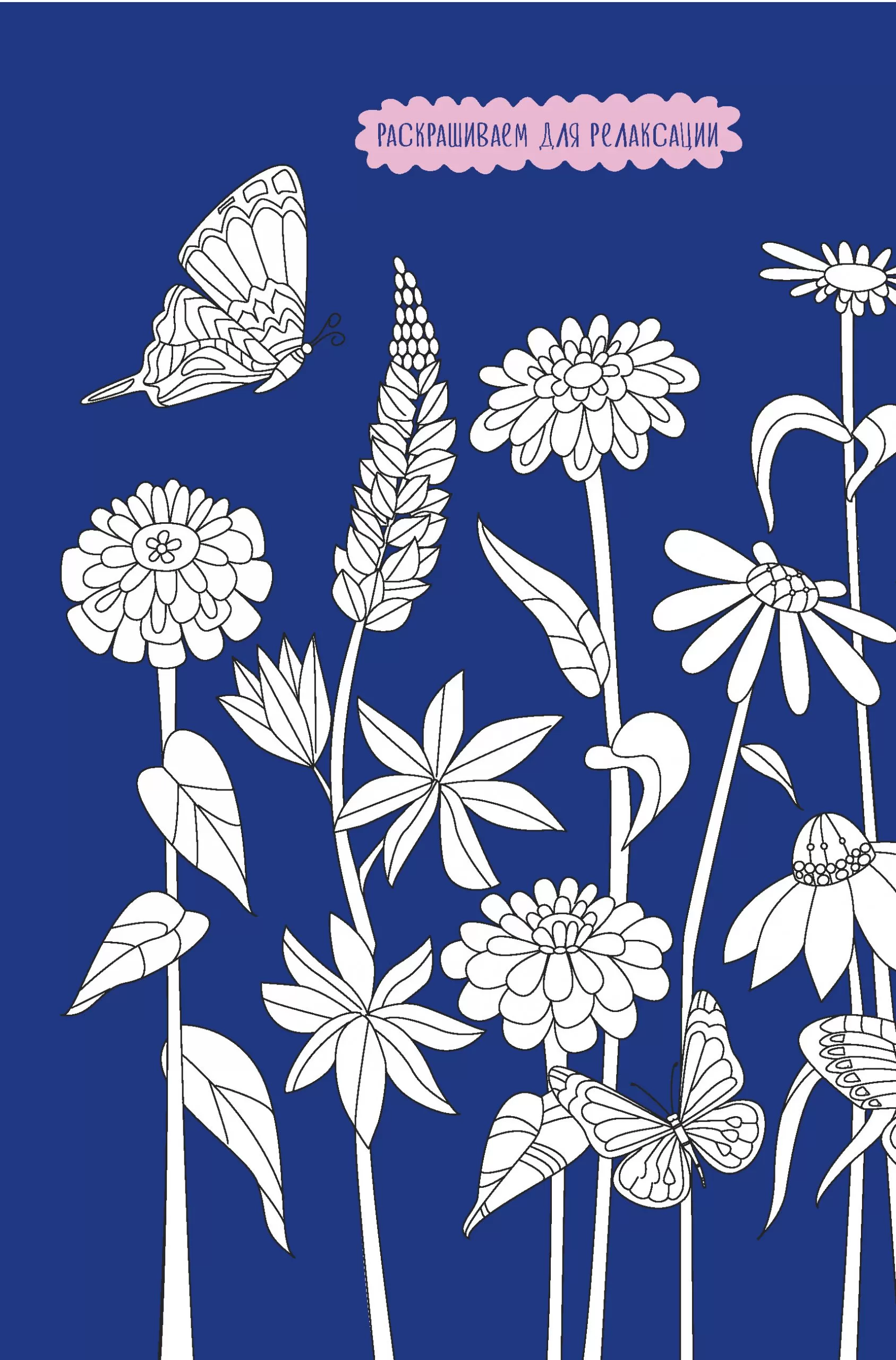 Ежедневник с секретом (бабочки) (Обложка светится в темноте!) — изображение 7