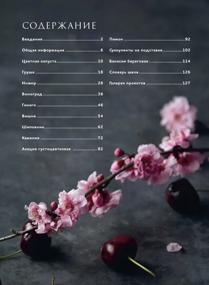 Botanica. 12 авторских дизайнов с цветами и плодами. Объемная вышивка шерстью от Джули Книдл — изображение 2