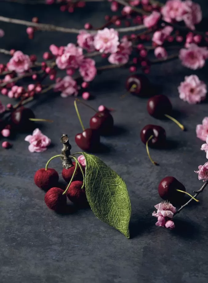Botanica. 12 авторских дизайнов с цветами и плодами. Объемная вышивка шерстью от Джули Книдл — изображение 7
