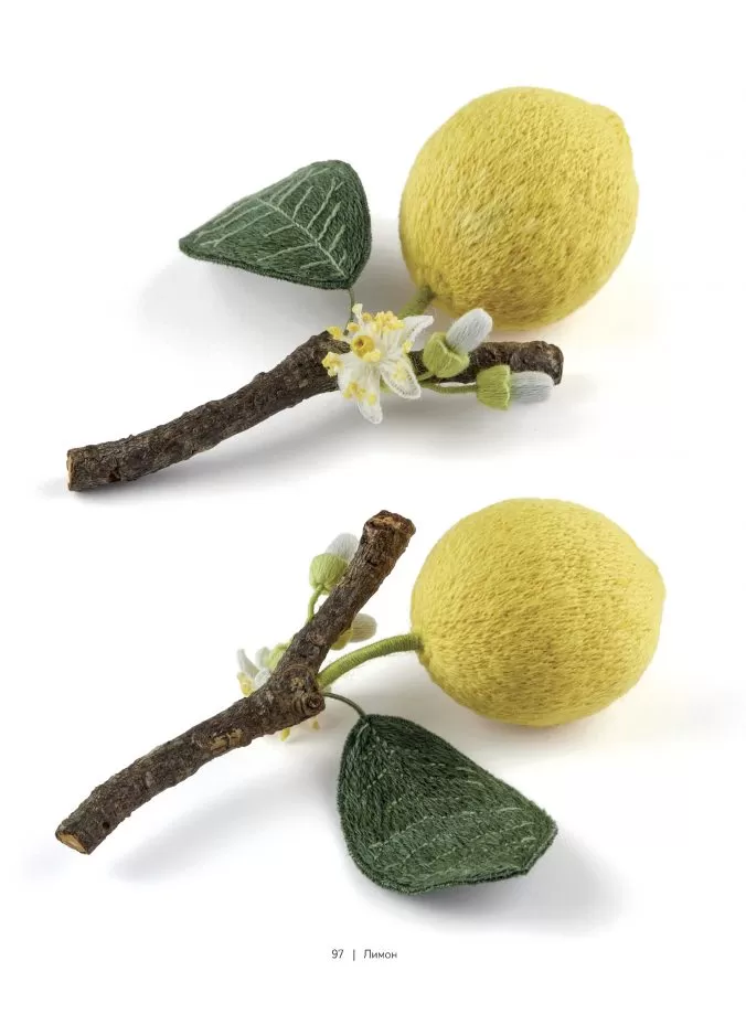 Botanica. 12 авторских дизайнов с цветами и плодами. Объемная вышивка шерстью от Джули Книдл — изображение 8