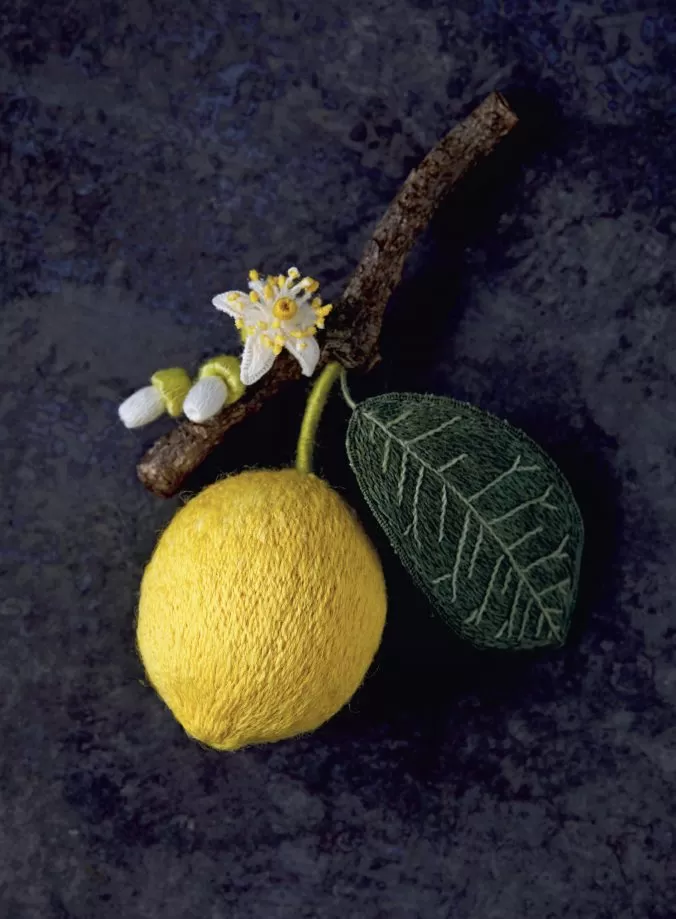 Botanica. 12 авторских дизайнов с цветами и плодами. Объемная вышивка шерстью от Джули Книдл — изображение 9