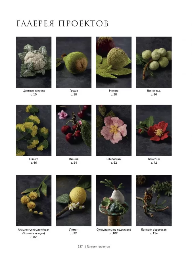 Botanica. 12 авторских дизайнов с цветами и плодами. Объемная вышивка шерстью от Джули Книдл — изображение 10