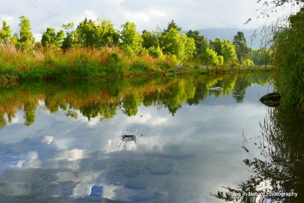 lake scaled