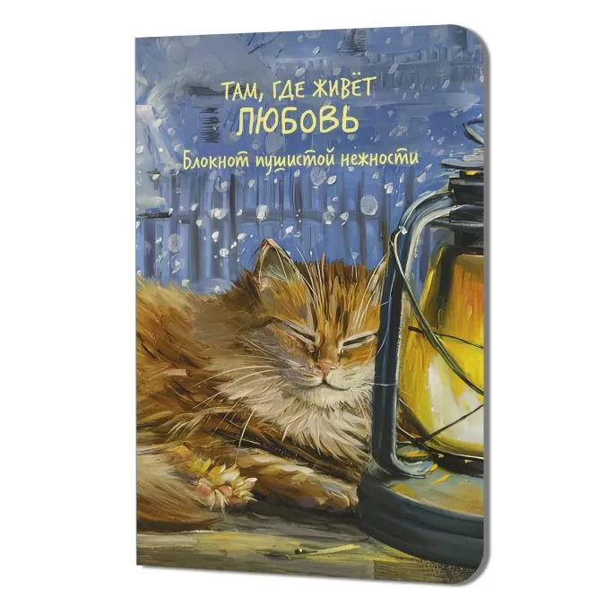Блокнот Там, где живет любовь (кот в окне)